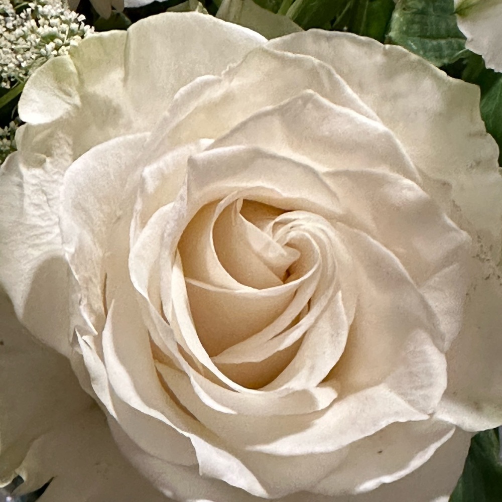 Meet your Posher, Marcie